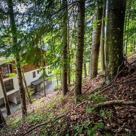 Blackberry Apartment *