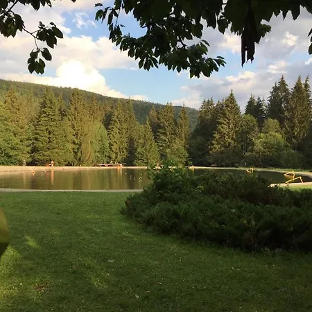 Blackberry Apartment